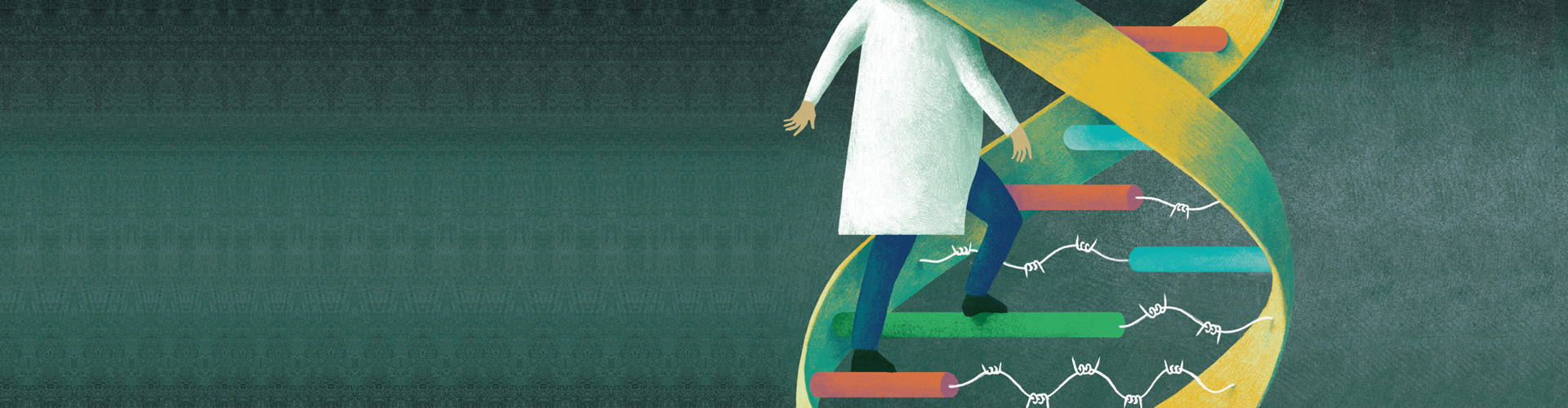 the issue page banner